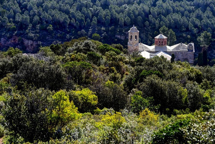 Abbaye de Fontfroide / Les Vins de Fontfroide