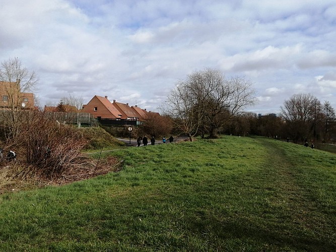 La cité du Vignoble