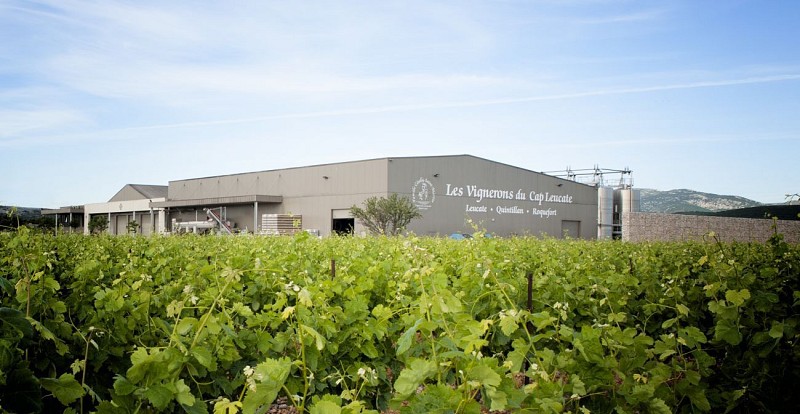 Vignerons de Cap Leucate - Les Vignerons de la Palme