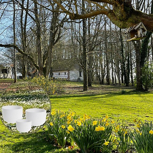 Bain sonore - bols et lyre en cristal