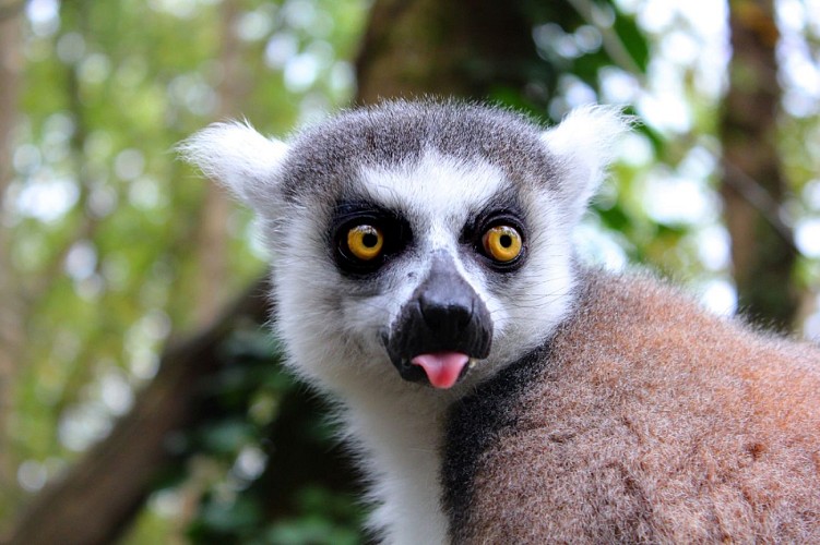 Réserve Zoologique de Calviac