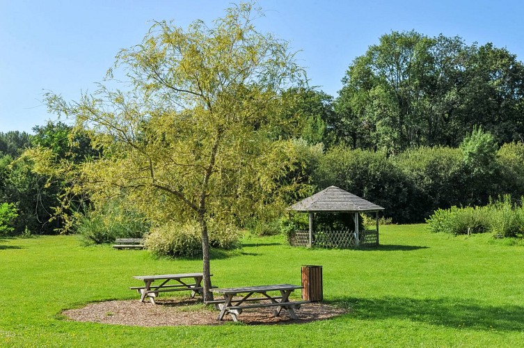 aire-de-pique-nique-ligny-le-ribault-etang-du-pre-des-saules-1