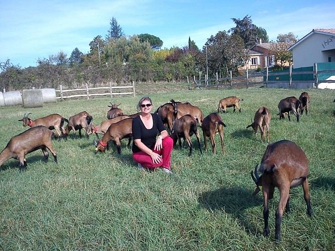 Les chambres de la Chèvrerie des Sources - animaux