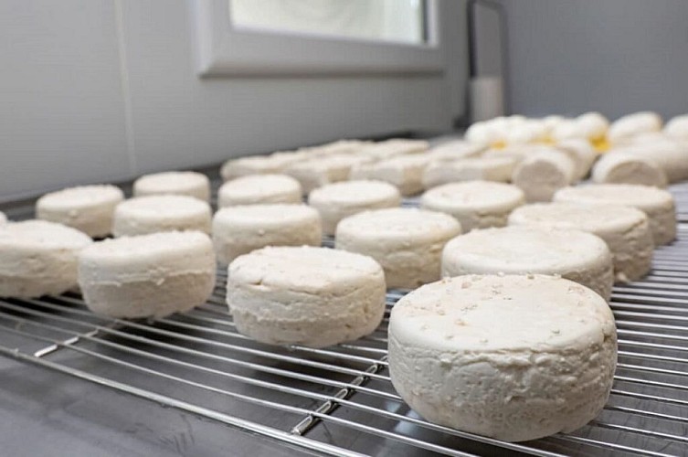 La Chèvrerie des Sources 47 - 6