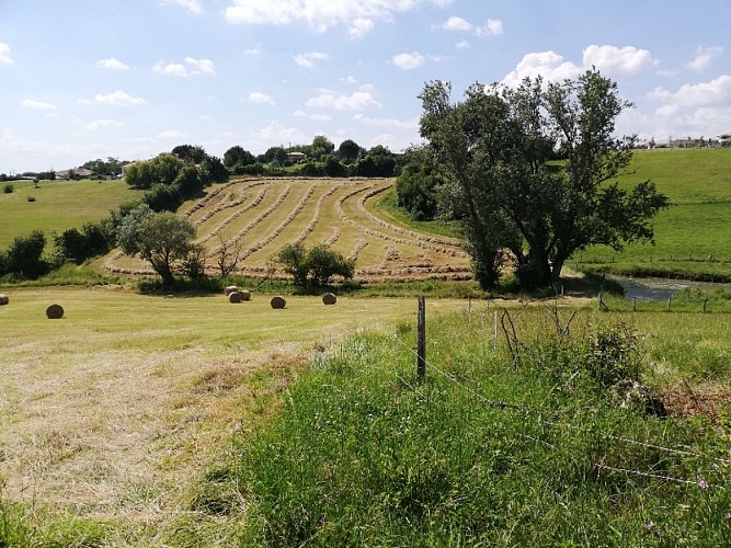 Les chambres de la Chèvrerie des Sources  - paysage