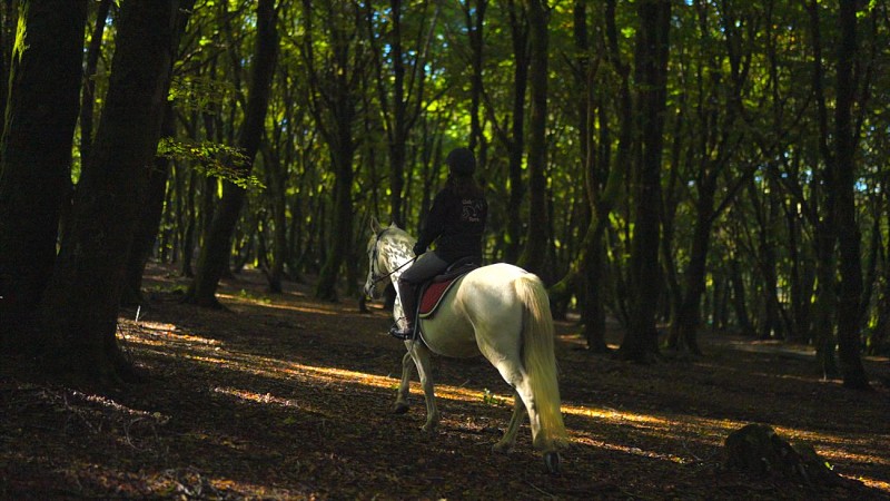 48h àMorvan2Mont-BeuvrayInnoveo10