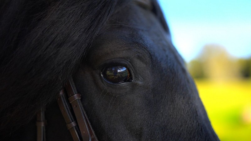 48h àMorvan2Mont-BeuvrayInnoveo7