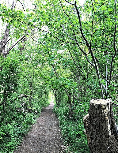 Ancienne ligne 23 - Fruitspoor