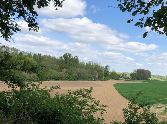 Vue depuis la ligne 23