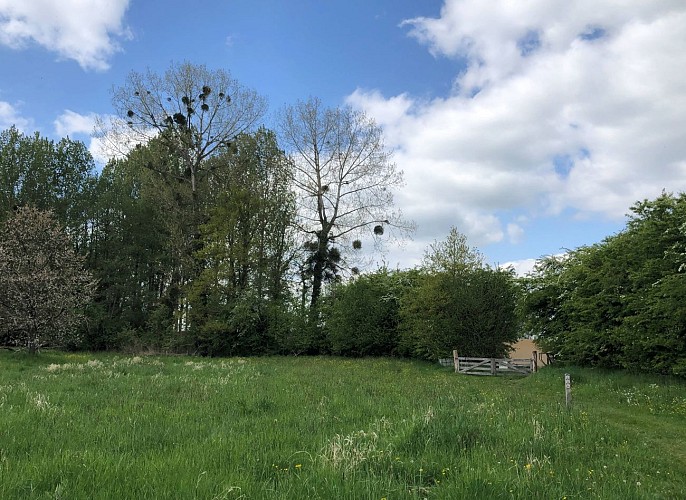 Entrée dans la réserve naturelle de Zammelen