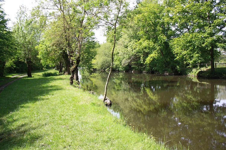 Pêche à la Boire Sainte-Catherine