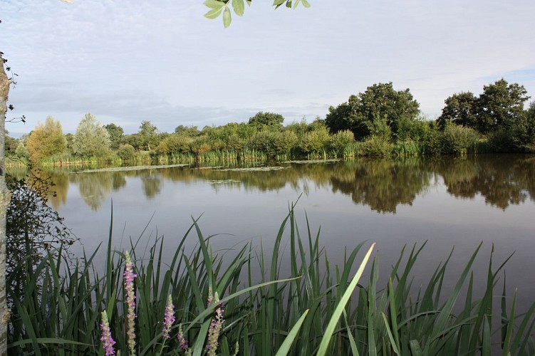 Étang de pêche le Pré du Marais