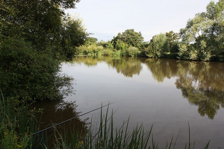 Étang de pêche le Pré du Marais