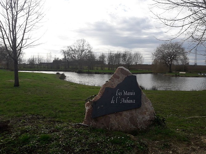 Étang de pêche de Chemellier