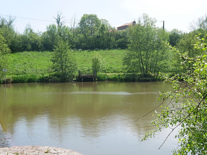 Étang de pêche de Coulvée