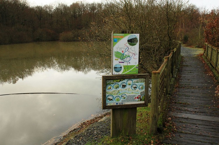 Étang de pêche des Landes