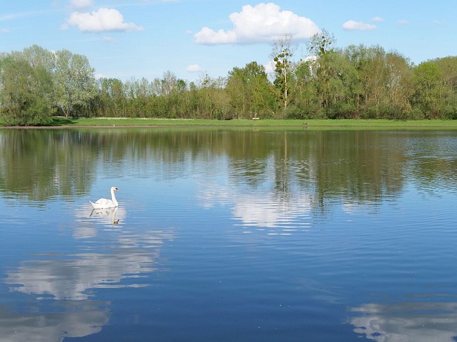 Étang de pêche de la Grande Vallée