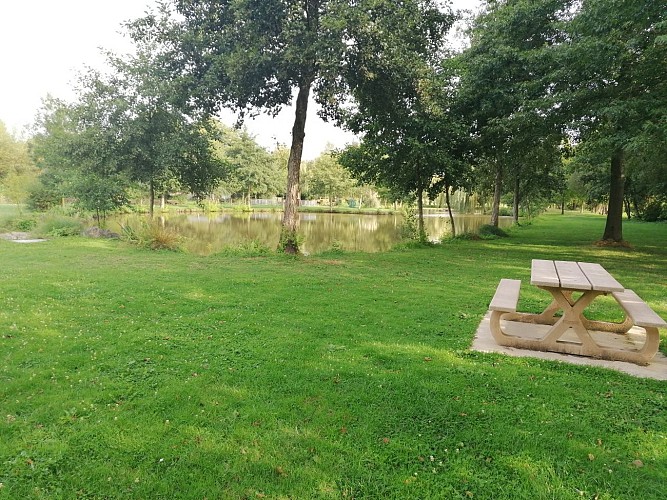 Étang de pêche de la Poitevinière