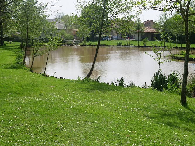 Étang de pêche de la Poitevinière