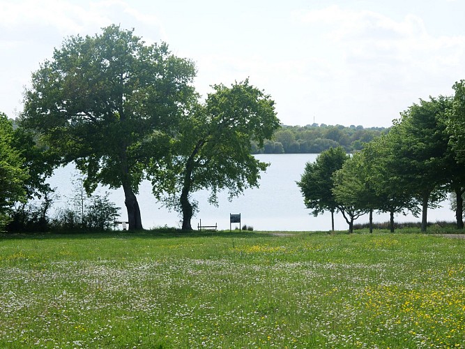 Étang de pêche Saint-Aubin - Pouancé