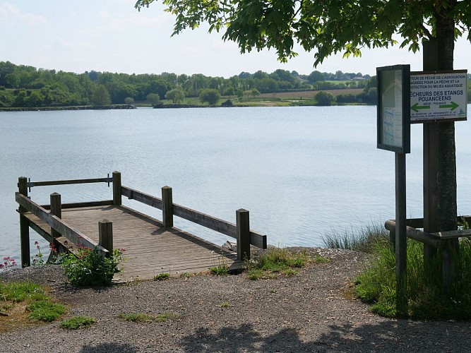 Étang de pêche Saint-Aubin - Pouancé