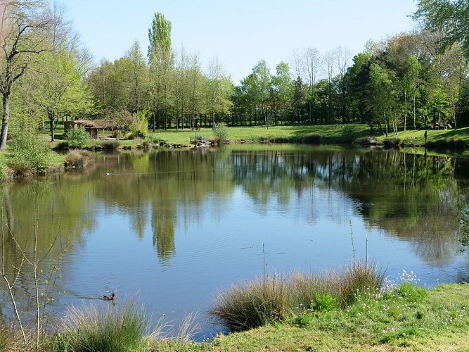Étang de pêche de Saint-André