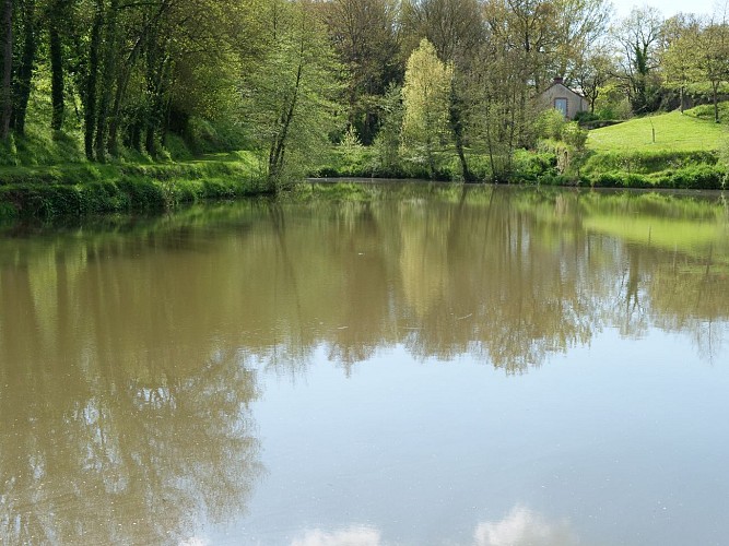 Étang de pêche de la Coudraye