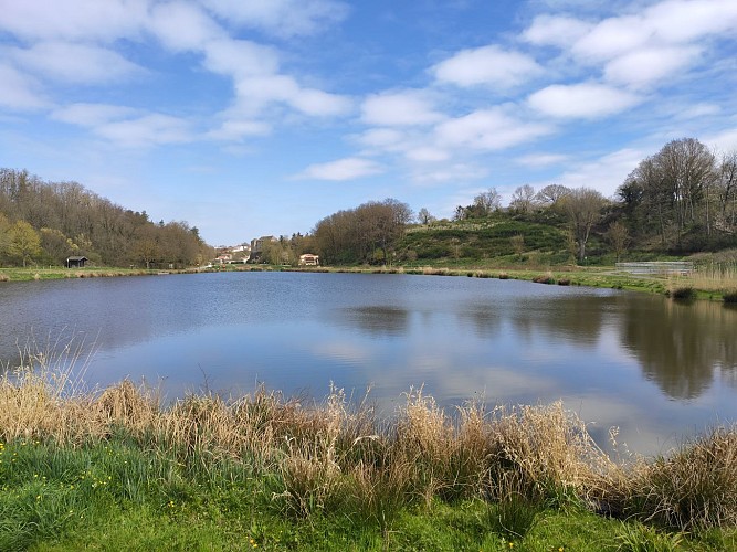 Étang de pêche du Lys