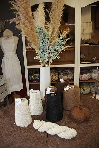 ALPAGAS DE LA MONTAGNE