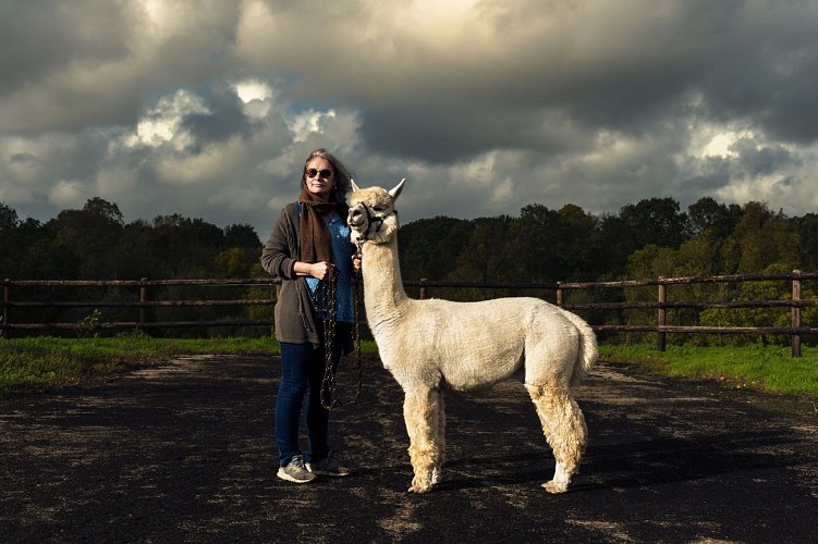 ALPAGAS DE LA MONTAGNE