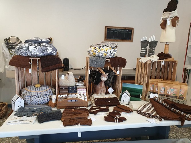 ALPAGAS DE LA MONTAGNE