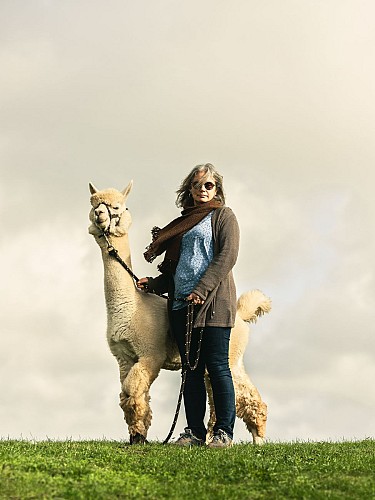 ALPAGAS DE LA MONTAGNE