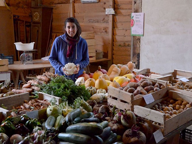 Le Potager du Château