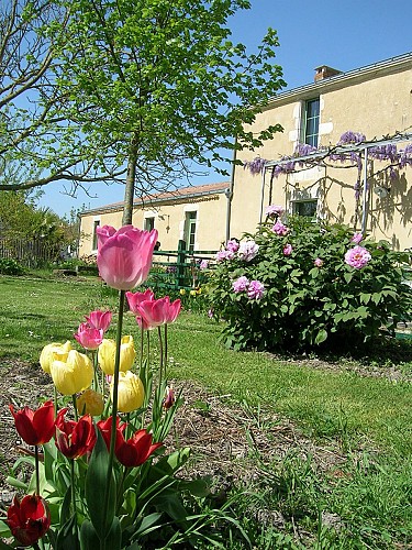 Chambre d'hôtes Nature