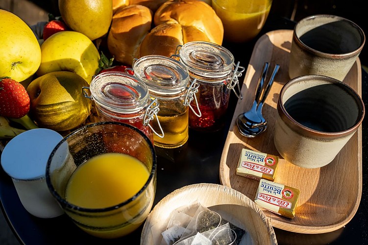 Bateau écolodge Le Martin Pêcheur