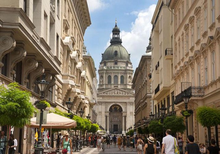 Visite guidée privée de Budapest (8h) - en français & transferts inclus