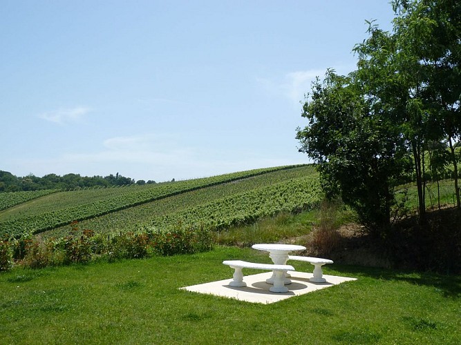 Aire de pique-nique aire de camping-car Crouseilles vignoble Madiran