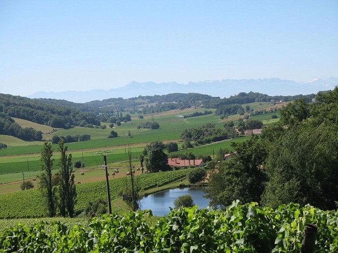 Conchez de Béarn Domaine Betbeder crédit domaine (1)