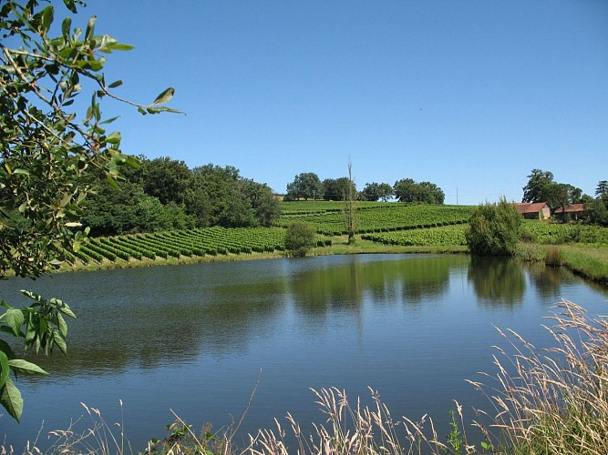 Conchez de Béarn Domaine Betbeder crédit domaine (2)