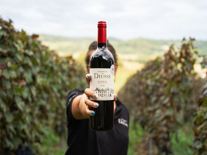 Diusse Château de Diusse @Château Diusse oct 2024 (1)