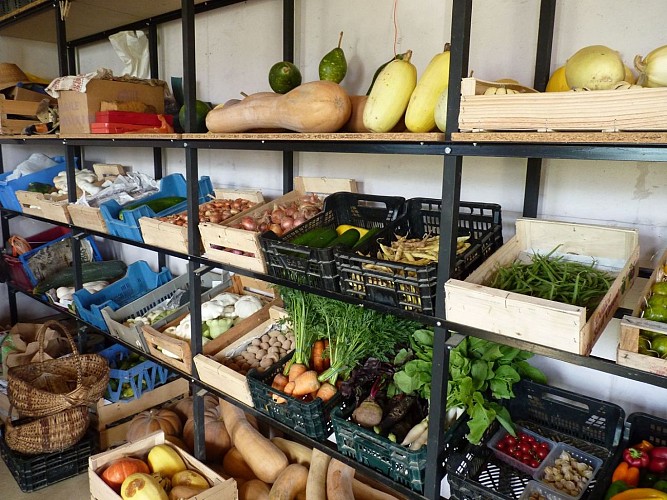 Mont-Disse Brin d'herbe cph SMT 2013 (2)