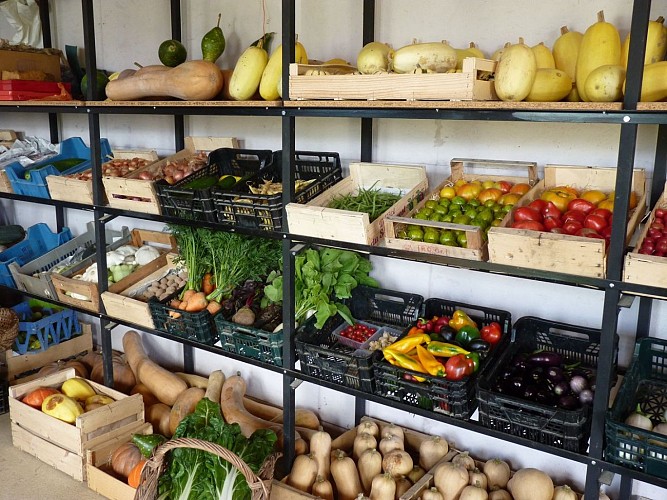 Mont-Disse Brin d'herbe cph SMT 2013 (9)