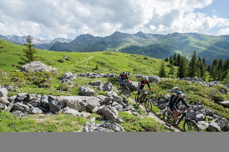 Oxygene E-Mountain Bike School