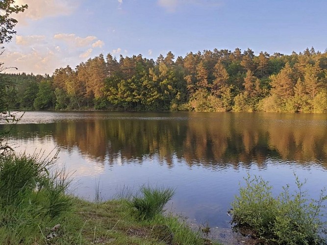 La Maison de Pépé Pierre 1_7