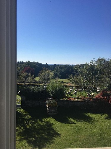 La Maison de Pépé Pierre 1_8