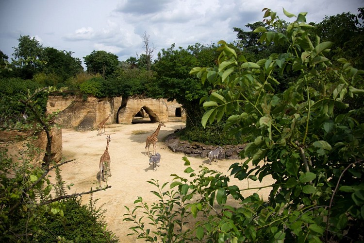 Bioparc, Zoo de Doué-la-Fontaine