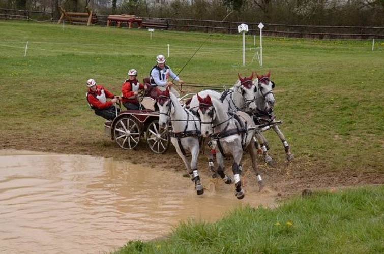 course_hippique-2-ca489