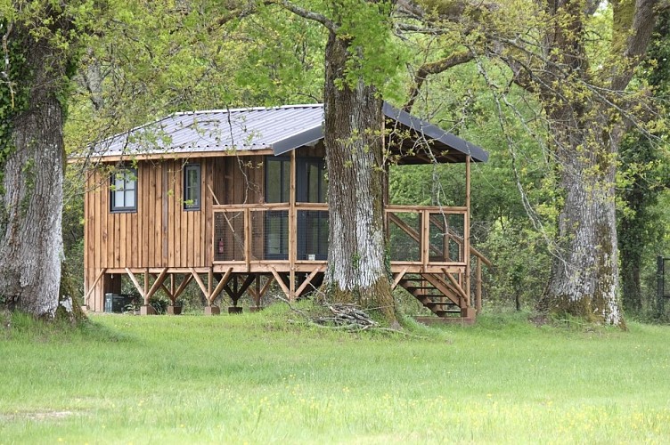 Domaine-de-Lara-Ménesplet-chalet-sol-arbres