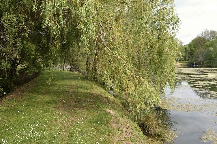 Domaine-de-Lara-Ménesplet-étang-chemin2