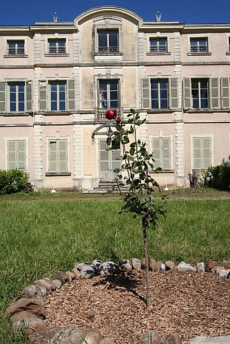 Château de Saint Maurice de Rémens